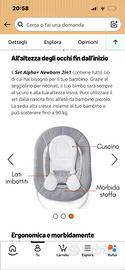 Sdraietta Hauck Alpha Bouncer 2in1
