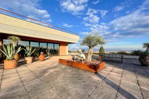 ATTIVITÀ A DESENZANO DEL GARDA