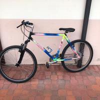 Bicicletta unisex