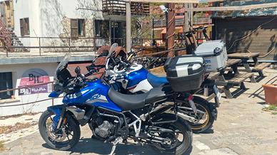 triumph Tiger 900 GT