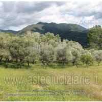Terreno Agricolo Moio della Civitella [A4343878]