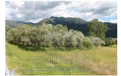 Terreno Agricolo Moio della Civitella [A4343878]