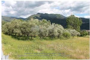 Terreno Agricolo Moio della Civitella [A4343878]