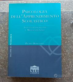 Psicologia dell'apprendimento scolastico