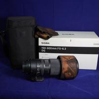 Sigma 150-600mm F5-6.3 DG per Canon