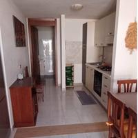 Dreaming Porto Frailis