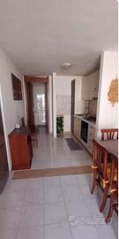 Dreaming Porto Frailis