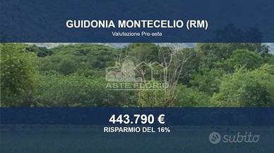 Immobile in asta di 176427 m² a Guidonia Monteceli