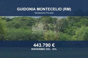 Immobile in asta di 176427 m² a Guidonia Monteceli