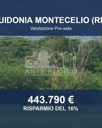Immobile in asta di 176427 m² a Guidonia Monteceli