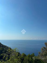 MONOLOCALE A FURORE