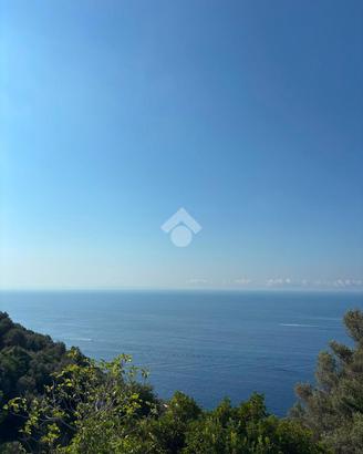 MONOLOCALE A FURORE
