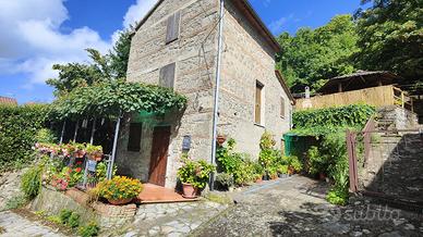 Terratetto in pietra su 2 livelli- Santa Fiora GR
