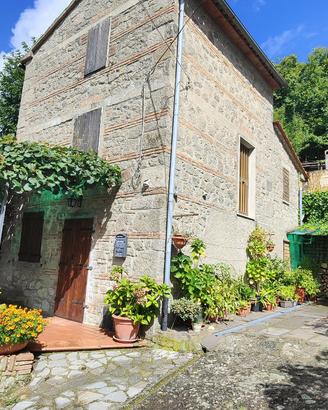 Terratetto in pietra su 2 livelli- Santa Fiora GR