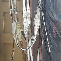 Finimento da corsa për purosangue