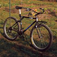 Mtb Gt tequesta 1990 restomod