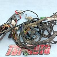 CABLAGGIO SUZUKI GSF 600-650-1200 BANDIT -S 95-11
