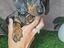 Immagine 2