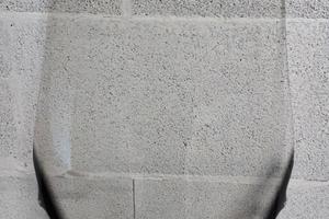 parabrezza originale Honda Silver wing 400 - 2008