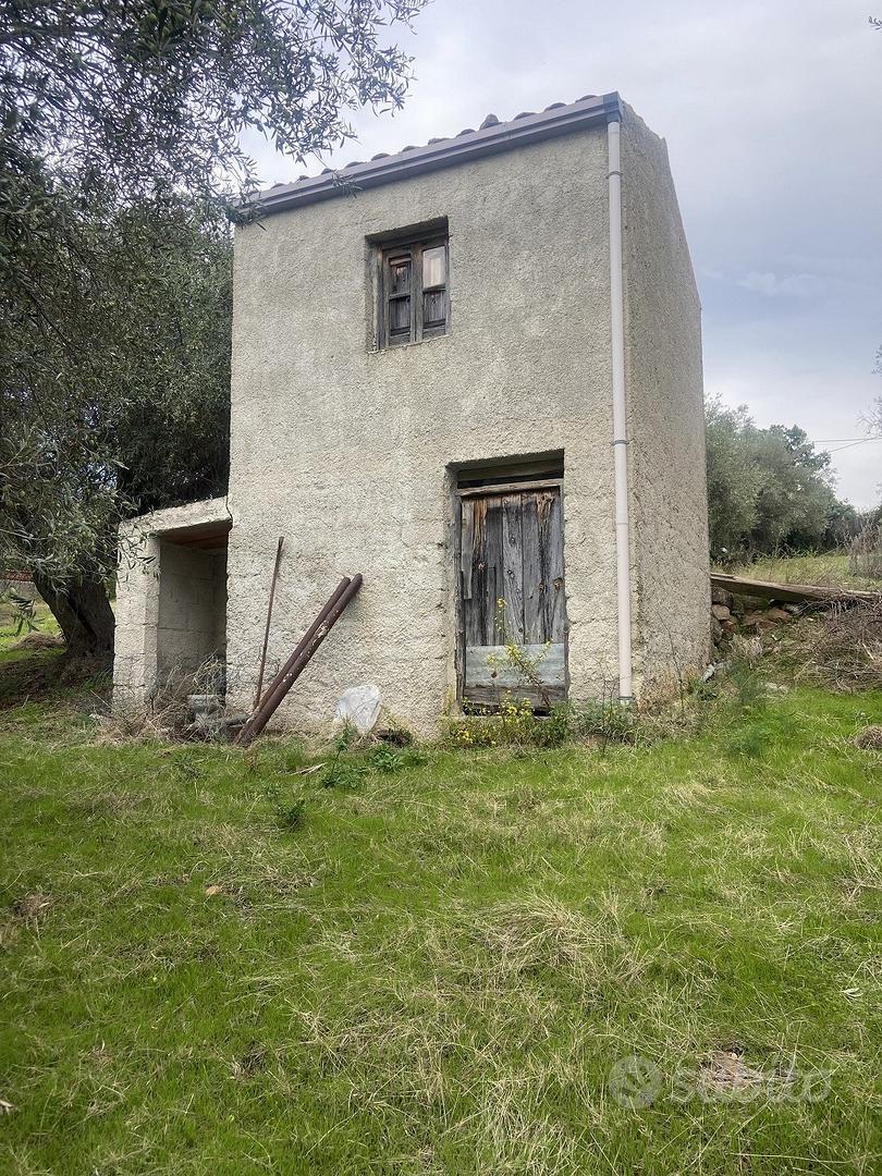 Terreno panoramico 5000 mq con uliveto e pozzi Gra - Vista 2