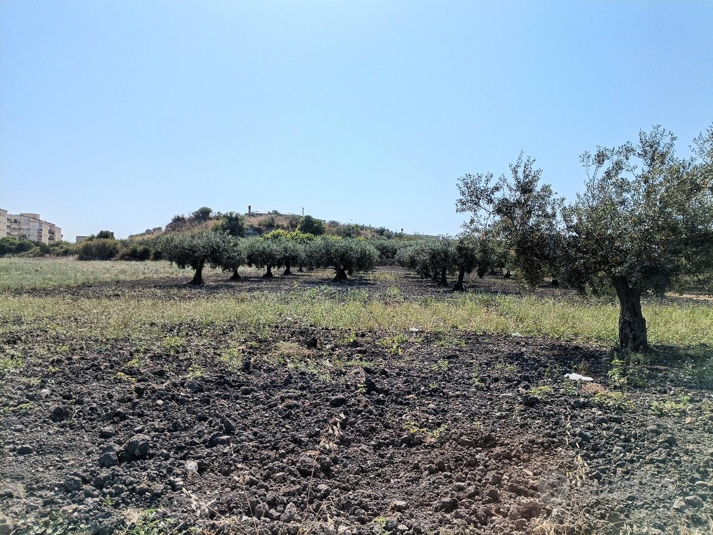 Terreno agricolo - Vista 3