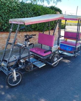 risciò elettrico e pedali