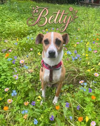 Dolce Betty