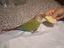 Immagine 1