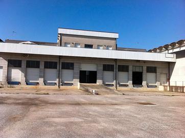 Magazzino + 2 uffici + 2 appartamenti + terreno