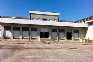 Magazzino + 2 uffici + 2 appartamenti + terreno