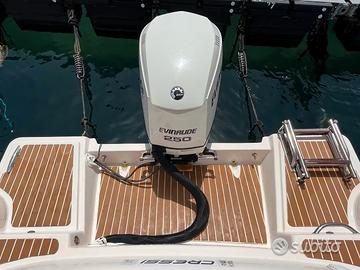 Motore Evinrude 250 E-TEC anno 2006