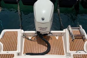 Motore Evinrude 250 E-TEC anno 2006