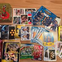 Collezione Figurine/Card Panini