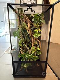 Terrario x camaleonte, camaleontario Exoterra
