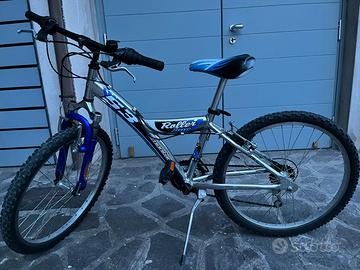 Mountain bike Roller Pro 26”