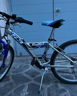 Mountain bike Roller Pro 26”