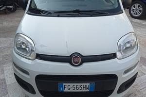 Fiat Panda bianca
