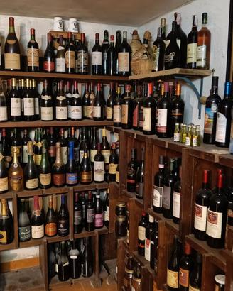 Vedo lotto bottiglie vino per arredamento risto