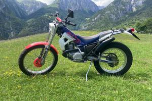 Beta alp 250