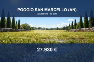 Immobile in asta di 82710 m² a Poggio San Marcello