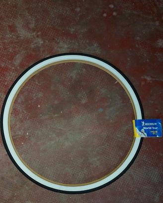 Copertoni Michelin