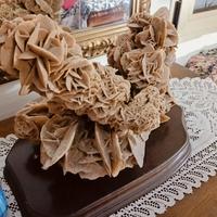 “Rosa del Deserto” 