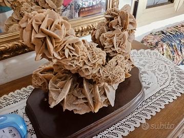 “Rosa del Deserto” 