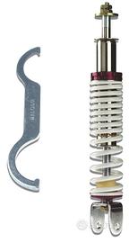 Ammortizzatore Malossi RS3 Booster Spirit- F10