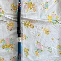 Canna da pesca colonial impeto