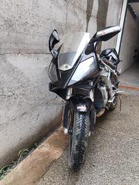 derbi gpr 50