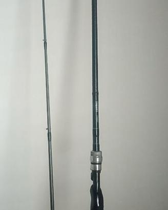 canne da pesca spinning