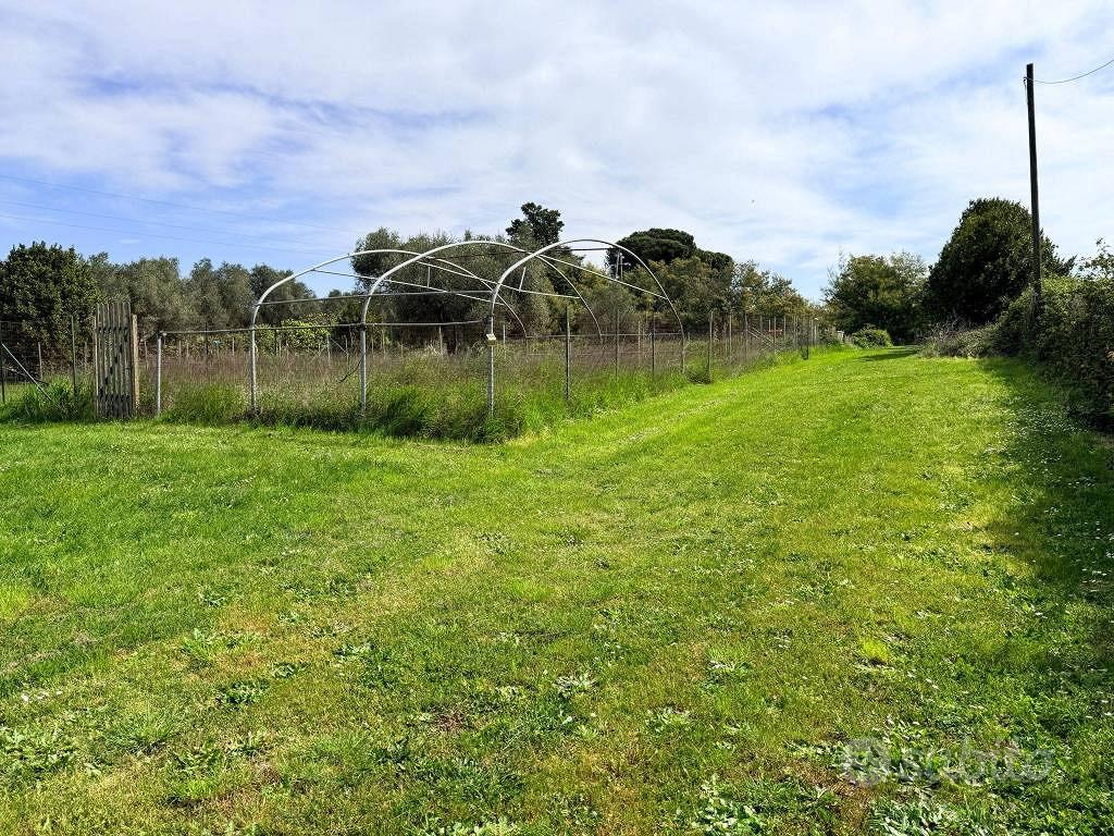 Terreno di 3800 m² a Anguillara Sabazia - Vista 5