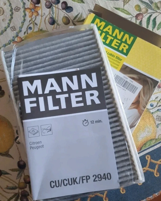 Filtro aria abitacolo auto