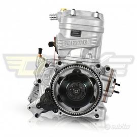 Motore kart IAME 125 X30